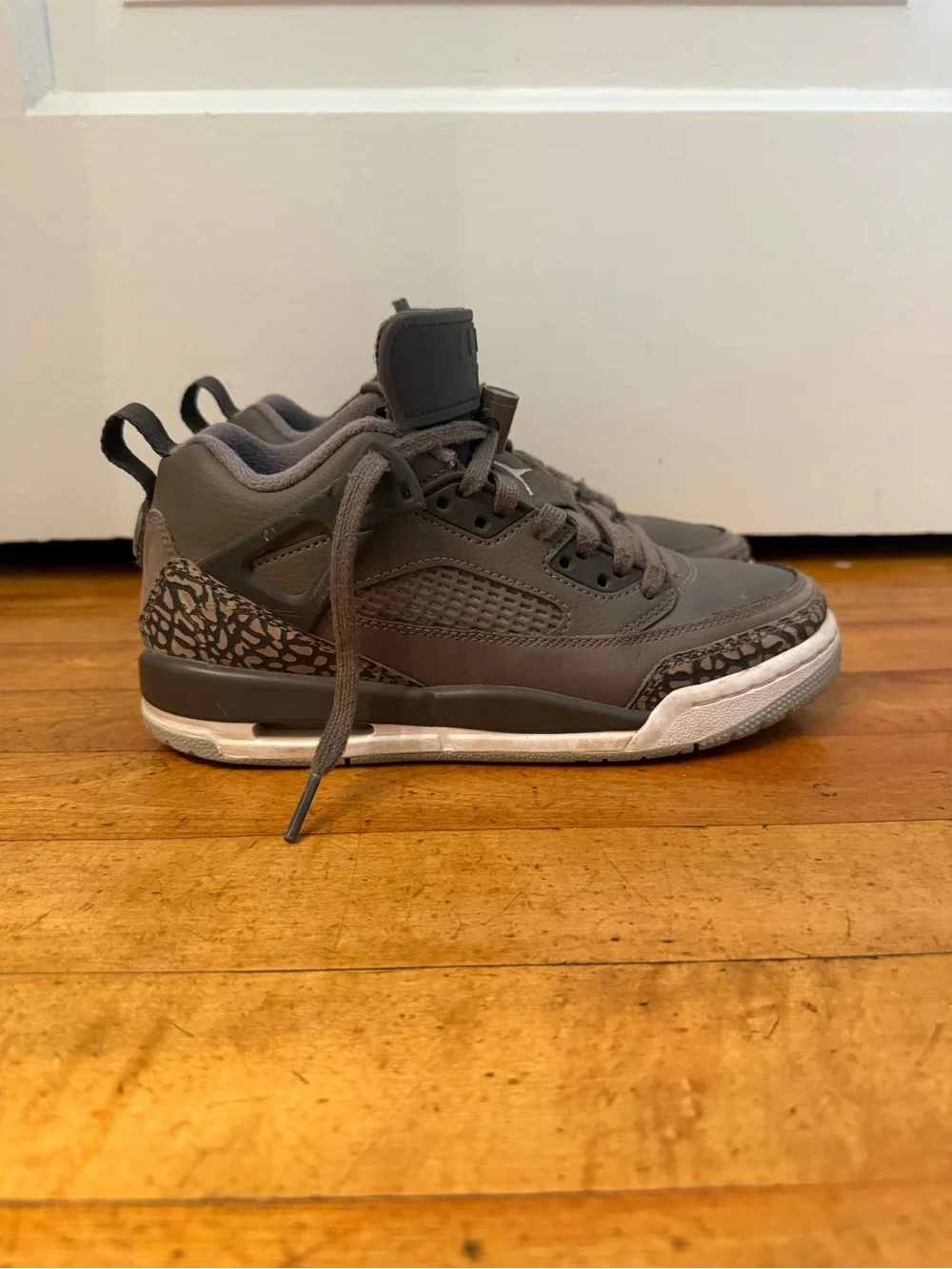 Jordan spike lee
